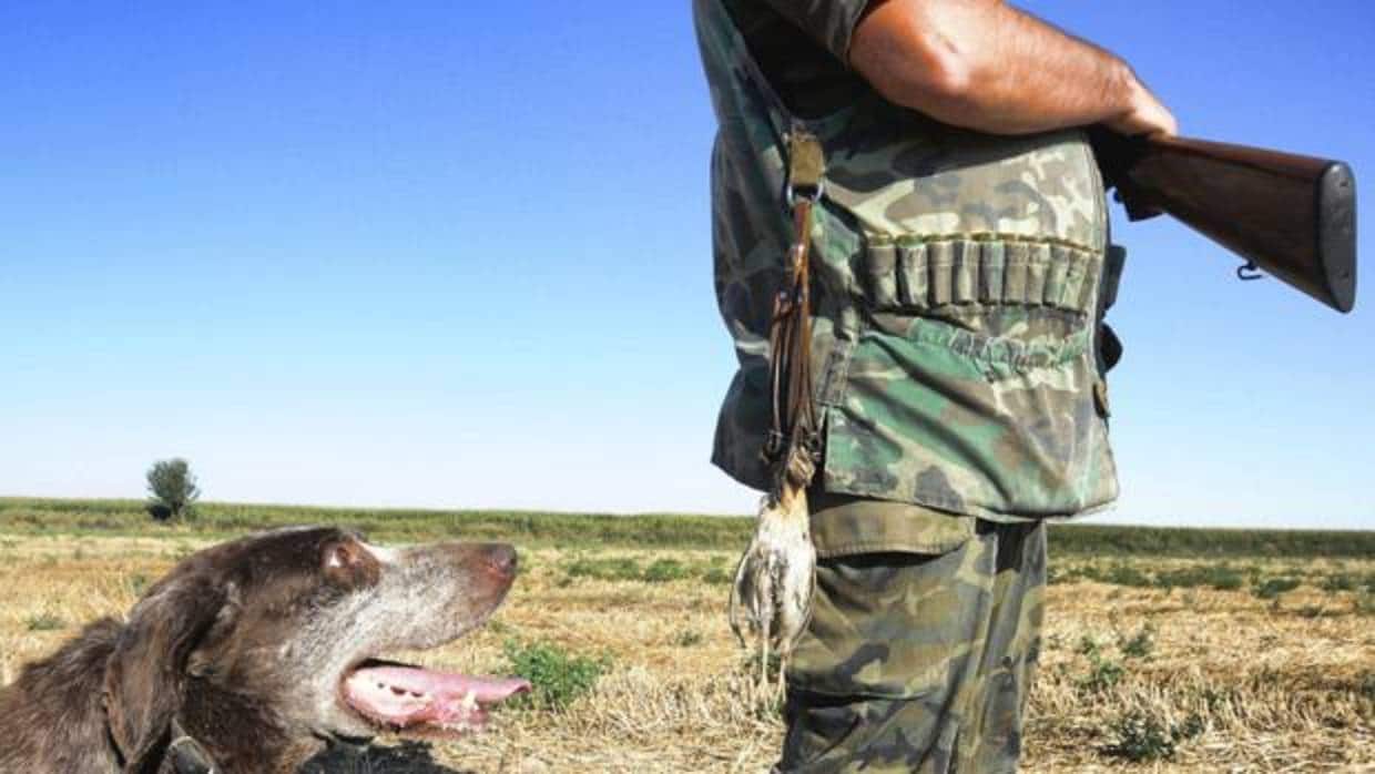 Un cazador y su perro en una tirada de codornices