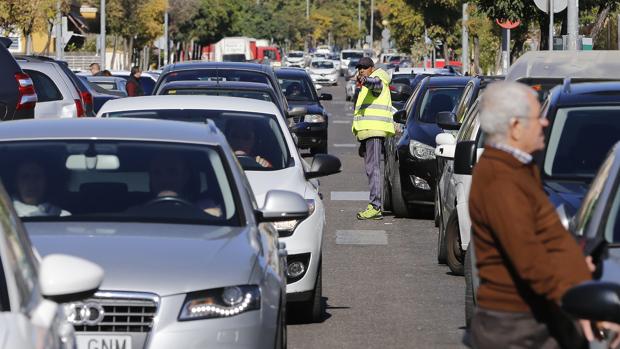 La difícil batalla contra los gorrillas en Córdoba