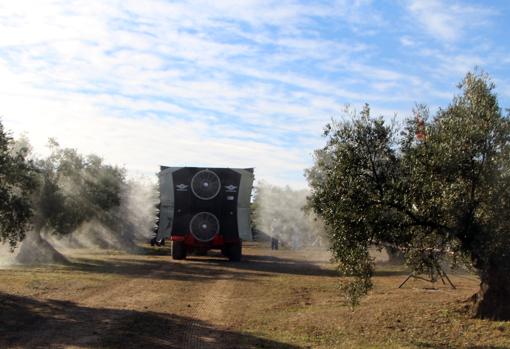 Un camión y varios obreros en tareas del campo