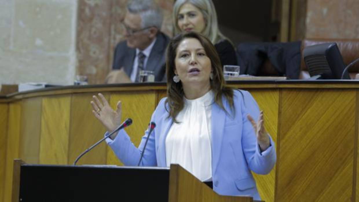 La portavoz del PP andaluz, Carmen Crespo.