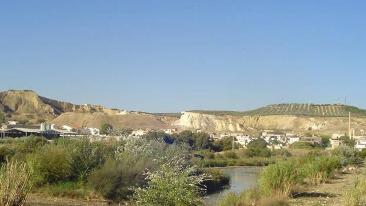 Vista del paraje en el que está plaentada la playa