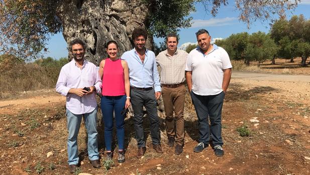 Todolivo viaja a Italia para conocer los avances en la lucha contra la xylella fastidiosa