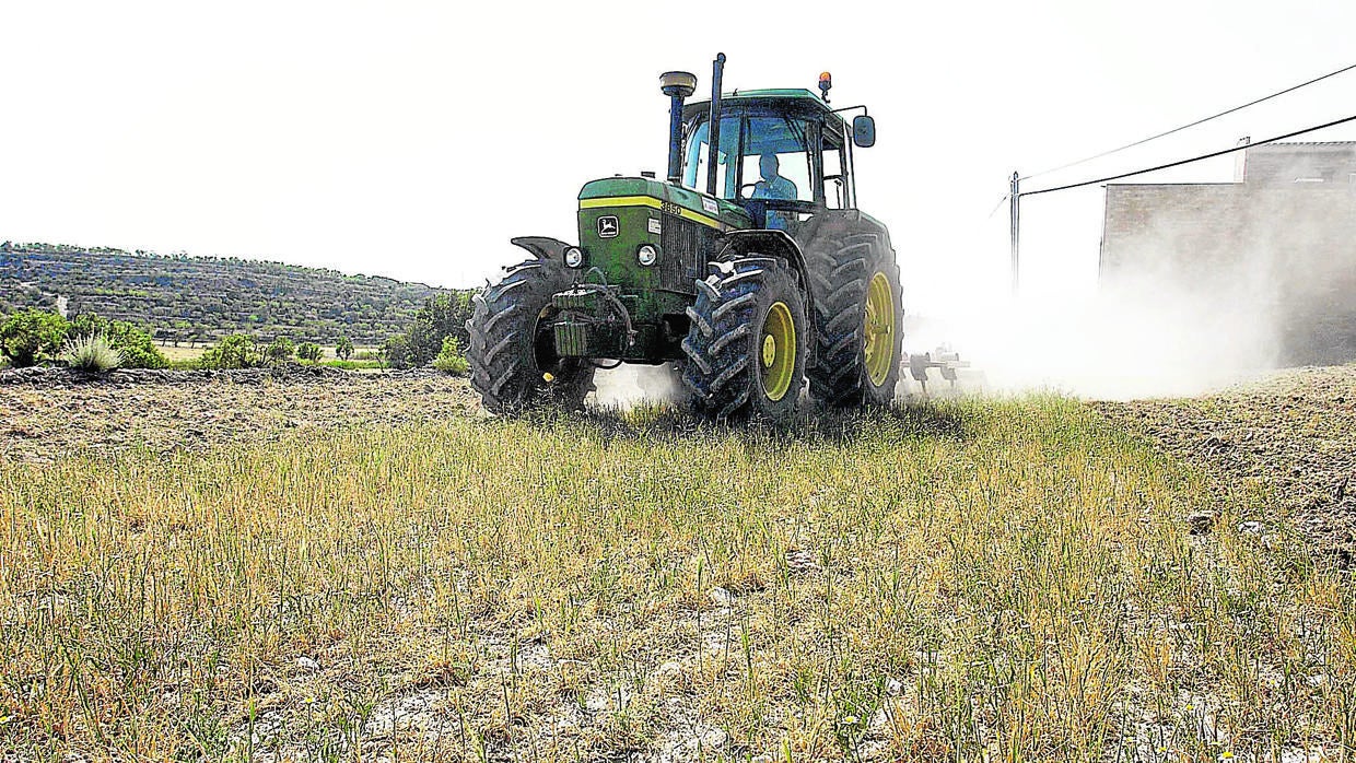 Un tractor en el campo cordobés