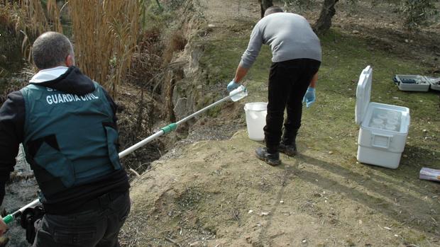 La Fiscalía eleva al juzgado la denuncia del vertido de orujo de El Tejar al Guadalquivir