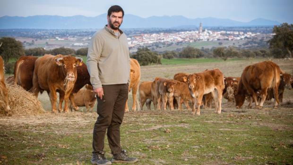 Francisco Rubio posa con su ganado para la entrevista con ABC