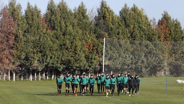 El Córdoba CF sopesa una minipretemporada, tiene una tregua en la Ciudad Deportiva y vuelve Royalverd