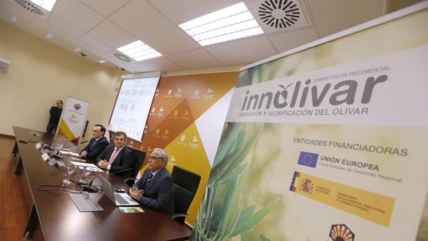 Un nuevo programa de la Universidad de Córdoba (UCO) potencia la innovación del olivar