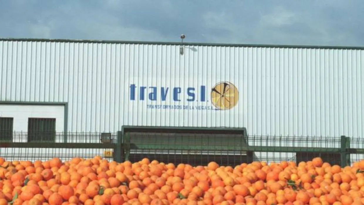 Una empresa de naranjas de Palma del Río