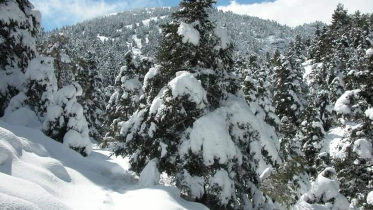 La Sierra de las Nieves, en Málaga