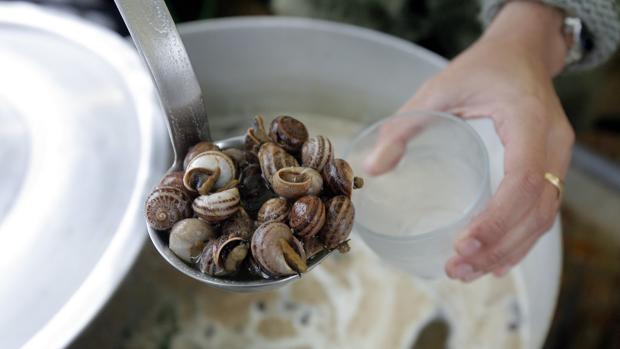 Caracoles en Córdoba 2018: Estos son los 46 puestos de caracoles que abren desde el viernes