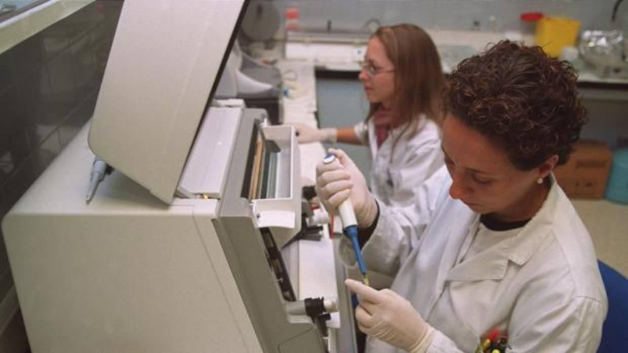 Investigadores en un laboratorio andaluz