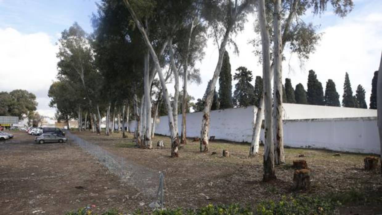 Solar junto al cementerio de San Rafael de Córdoba en que se construirá el nuevo tanatorio