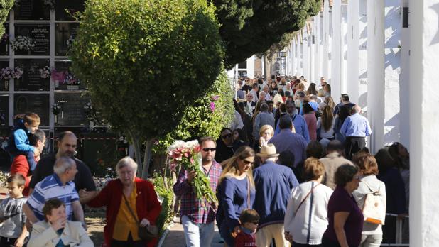 El Ayuntamiento de Córdoba inyecta casi 900.000 euros anuales a Cecosam para que sobreviva