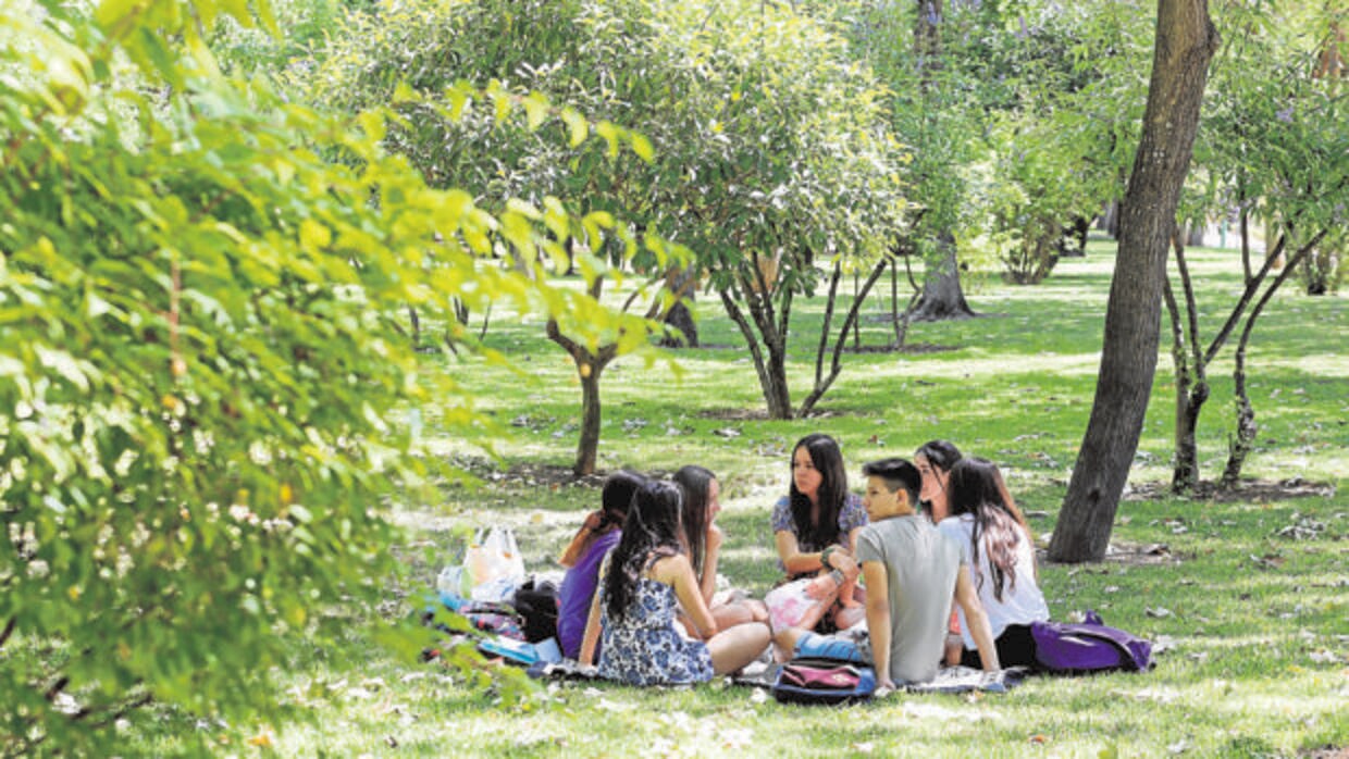 Unos jóvenes en el Parque Cruz Conde de Córdoba