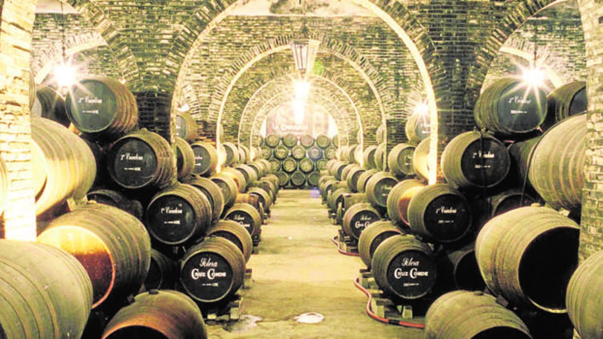 Toneles de las Bodegas Cruz Conde