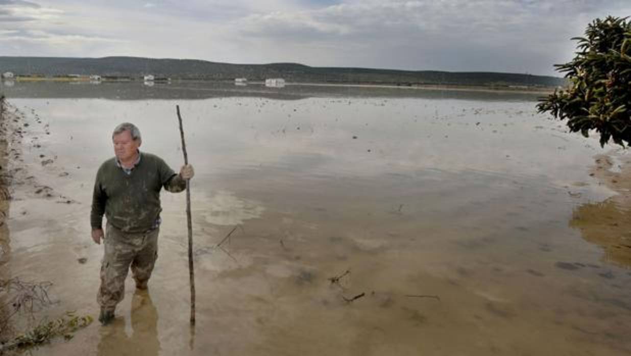 Inundaciones de 2010 en la zona de Llanos del Sotillo, en Andújar