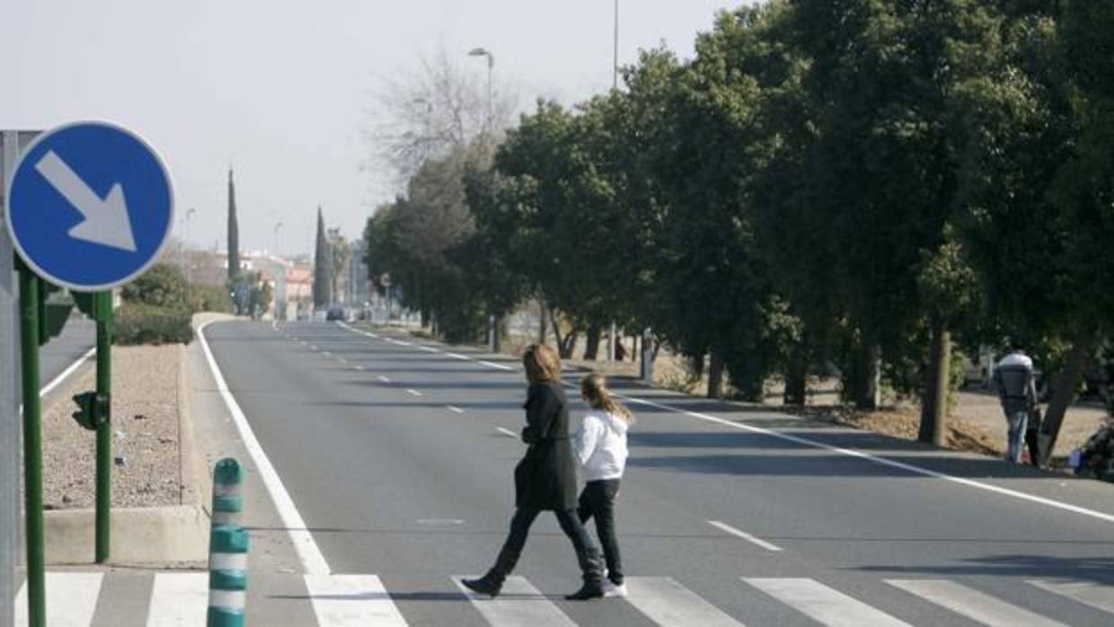 Carretera de Palma del Río donde se produjo el atropello