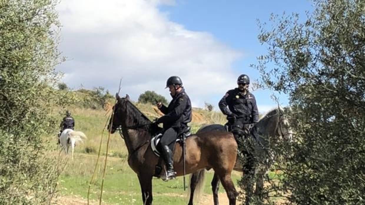 La Policía Nacional a caballo fotografía algunos restos en el campo