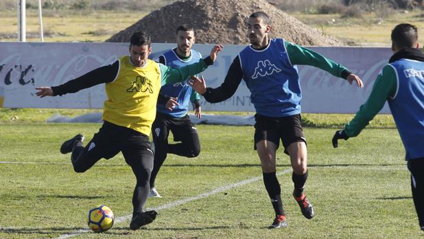 Córdoba CF | Alfaro: «Hemos logrado lo más difícil, que era tenerlo en nuestra mano»