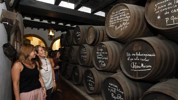 Un viaje por los vinos españoles sin salir de Bodegas Campos