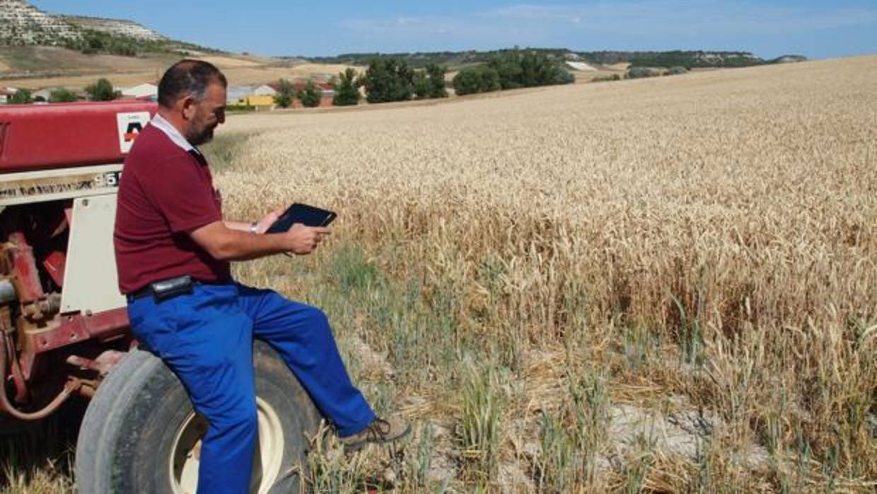 Un agricultor consulta en una tablet datos sobre sus cultivos