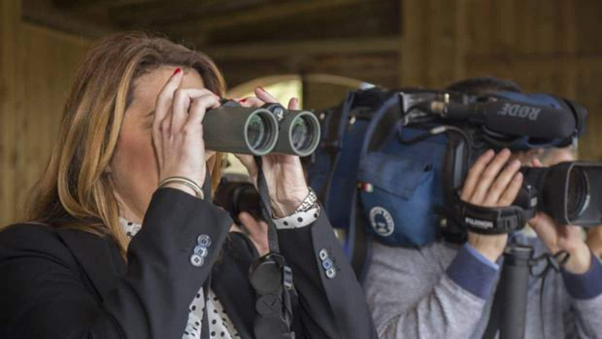 La presidenta de la Junta de Andalucía, este lunes, en un observatorio para linces en Doñana