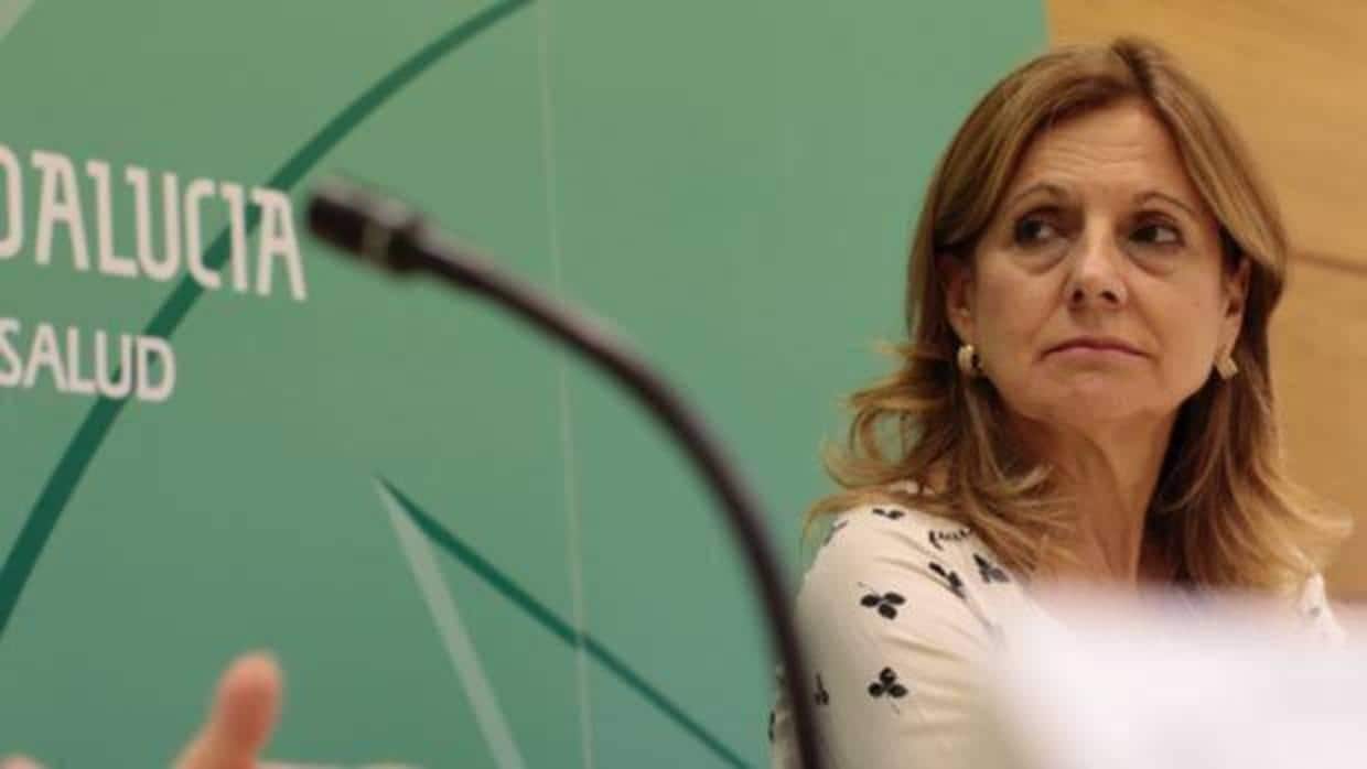 La consejera de Salud de la Junta de Andalucía, Marina Álvarez, era una de las denunciadas.