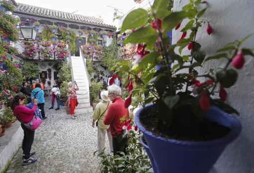 Todo lo que necesitas saber sobre la Fiesta de los Patios de Córdoba 2018