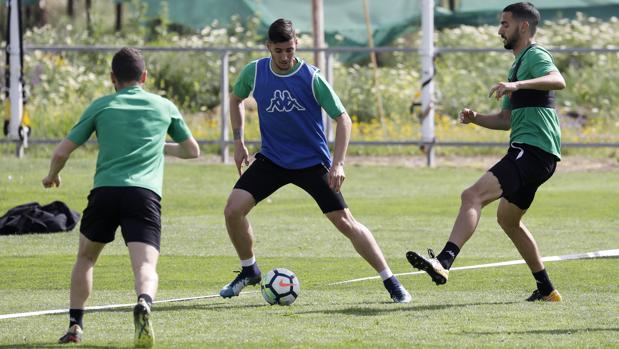 Córdoba CF: Sergi Guardiola, k.o. ante la Cultural