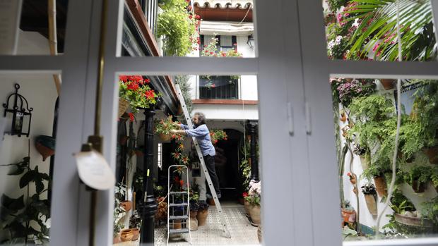 Los Patios de Córdoba abren desde hoy bajo la amenaza de lluvia