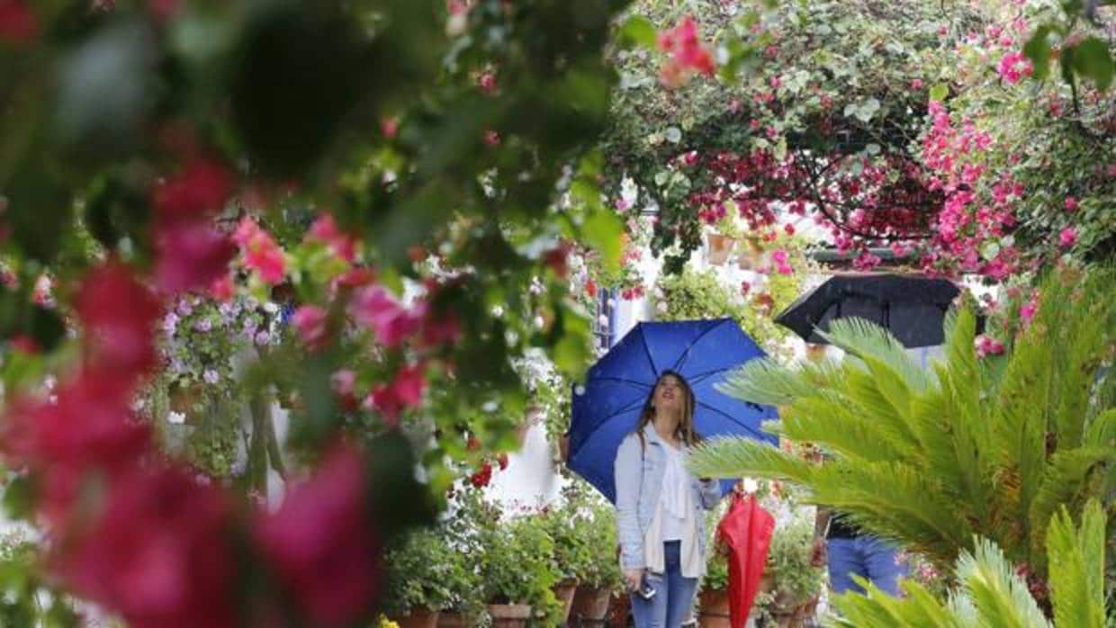 Una joven mira un patio de Santa Marina protegida con un paraguas
