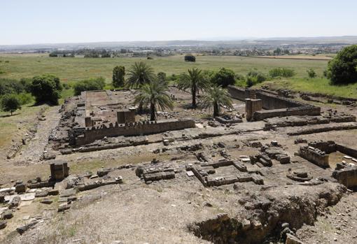 Una de las excavaciones en el interior del yacimiento