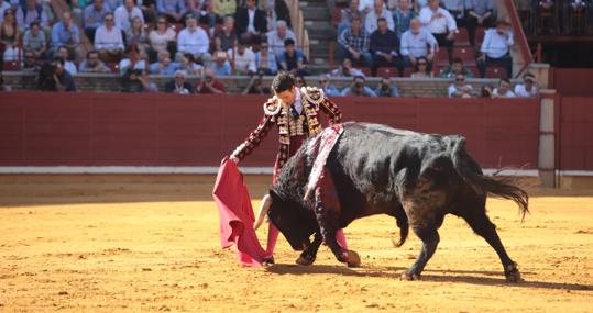 Finito de Córdoba, en una de sus faenas