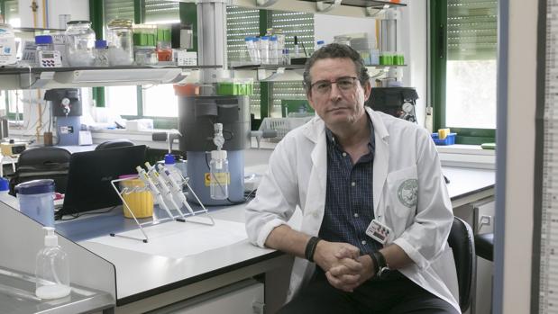 Investigadores de la UCO | Juan José Garrido, la lucha por controlar la salmonella