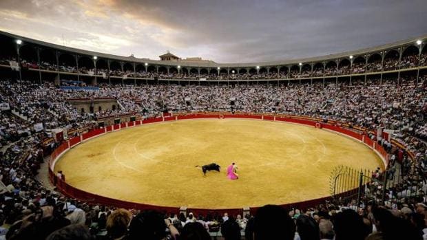 Los animalistas se manifiestan a pedradas en la Plaza de Toros de Granada
