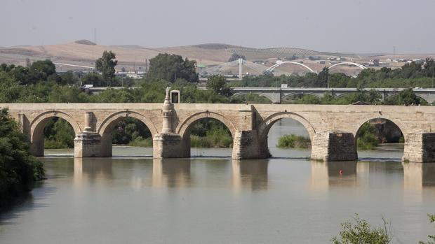 El Festival Ríomundi de Córdoba, en seis claves