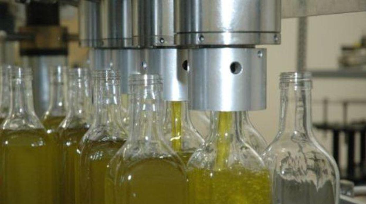 Proceso de embotellado de aceite de oliva en una fábrica de Jaén