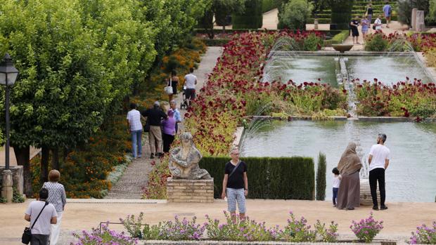 ABC Córdoba premia a la mejor fotografía con móvil de la primavera en Fotocórdoba