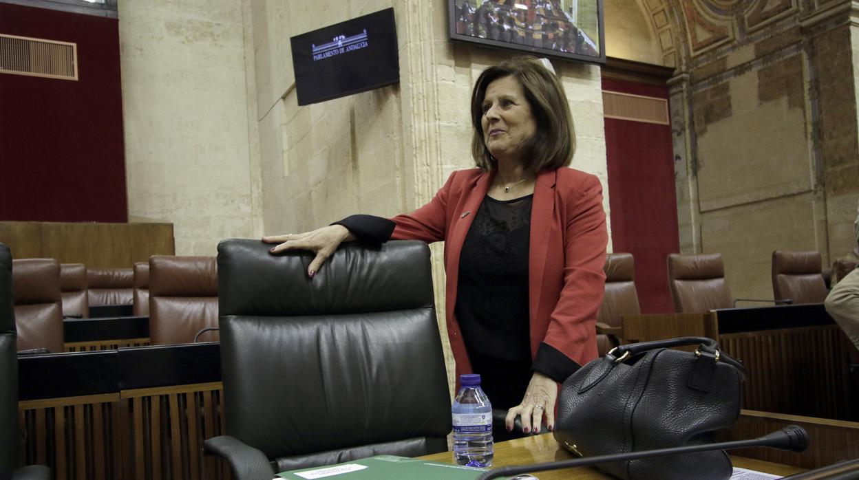 La consejera de Igualdad, María José Sánchez Rubio, en el Parlamento