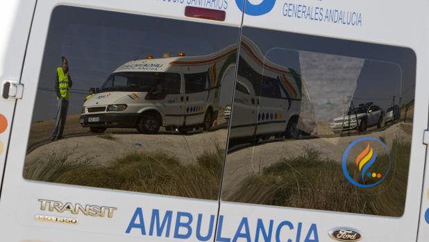 Muere un hombre en Málaga cuando intentaba salvar a su perro del río