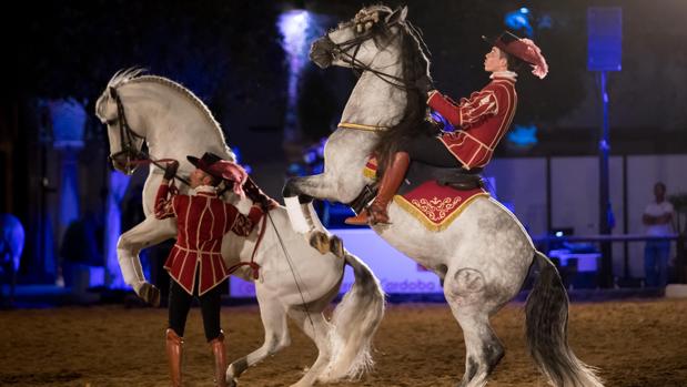 Espectáculo de Córdoba Ecuestre en Caballerizas Reales