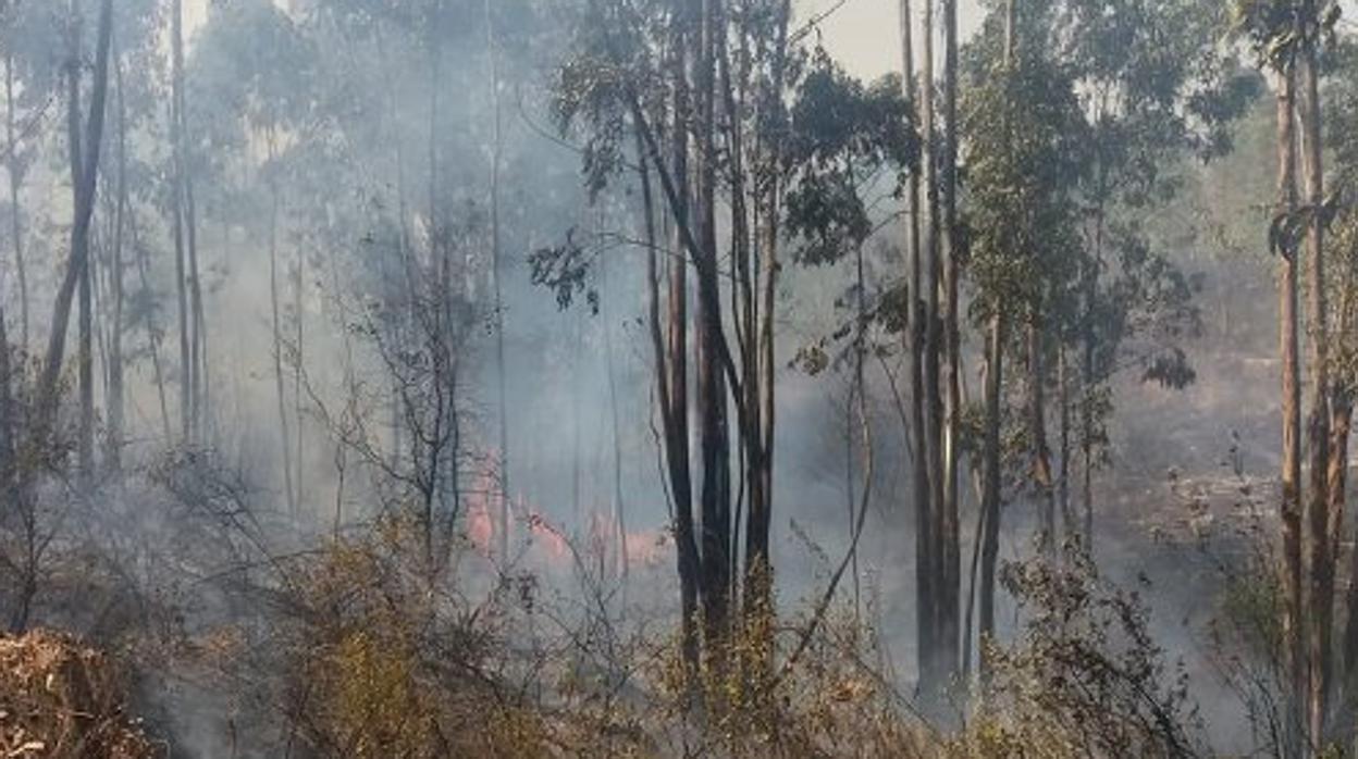 Imagen del fuego distribuida por la Junta de Andalucía