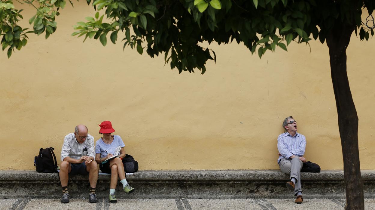 Tres turistas en el Patio de los Naranjos