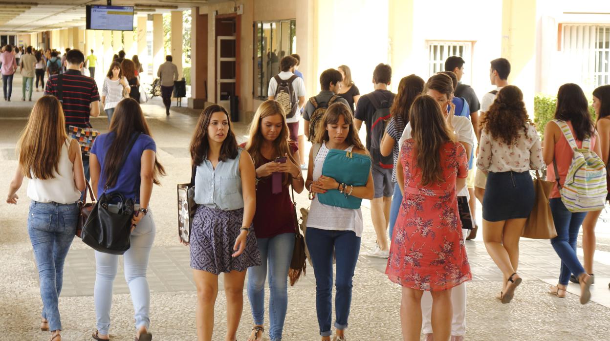 Varios estudiantes universitarios en el campus de la Pablo de Olavide