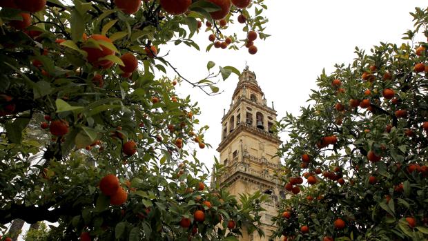 Córdoba, franquicia Unesco