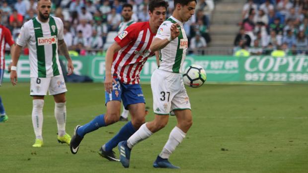 Córdoba CF | Aguado, otra pieza para Francisco en Segovia