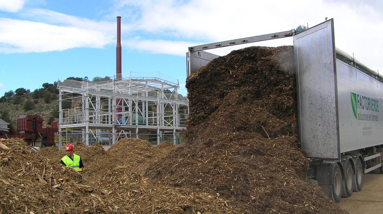 Residuos vegetales en una fábrica para su uso como biomasa