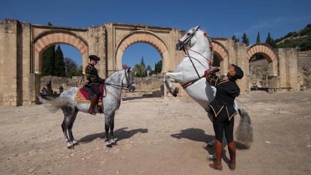 Córdoba Ecuestre vuelve a exhibir los caballos andaluces en Eslovenia