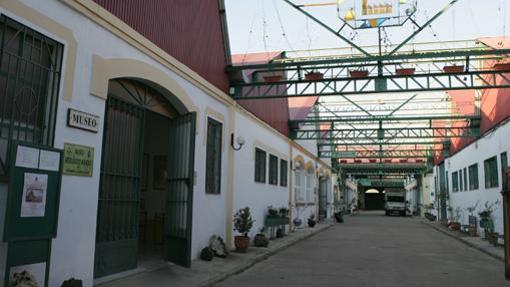 Museo Geológicoy Minero dentro de la Nave Yutera