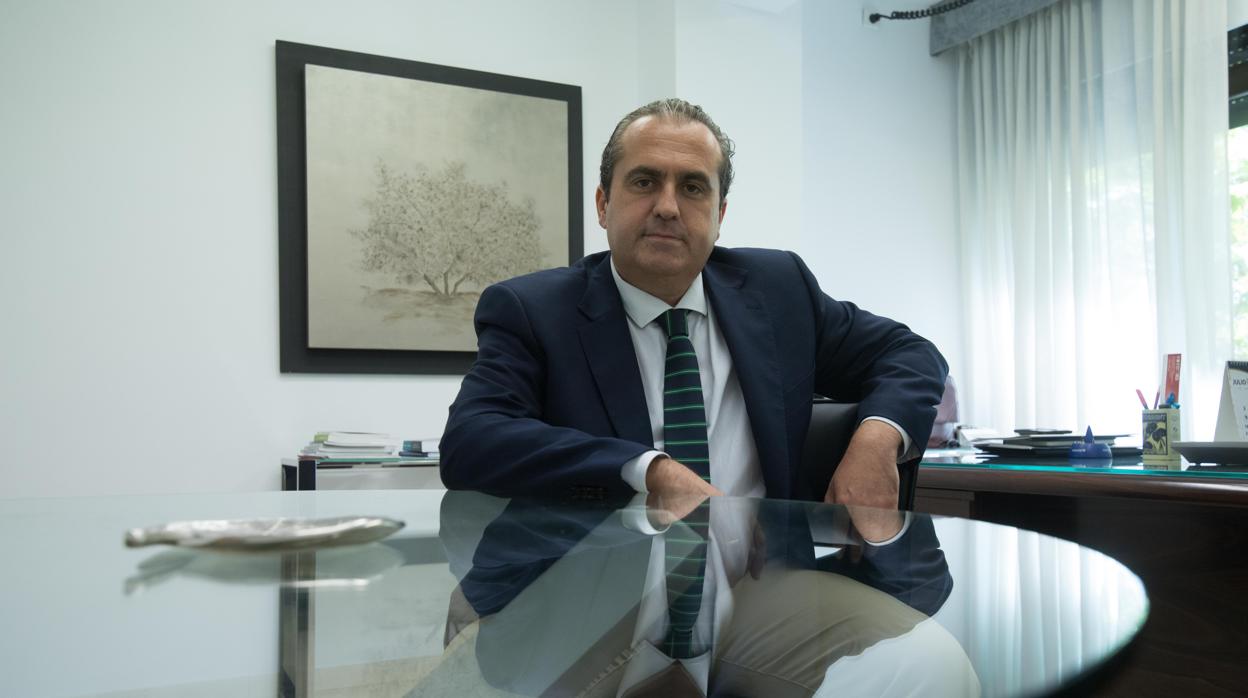 Francisco Torrent, en la sede de su empresa